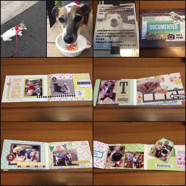 67cf7b6c 6e7f 4770 94ca 6309302cd8aa