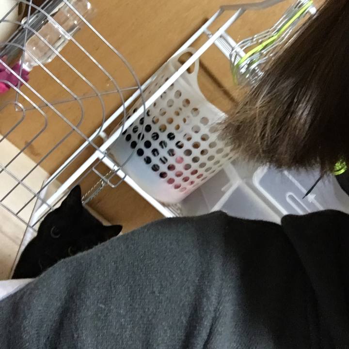 67d08231 1e97 4ecc acdb e48685479b2e