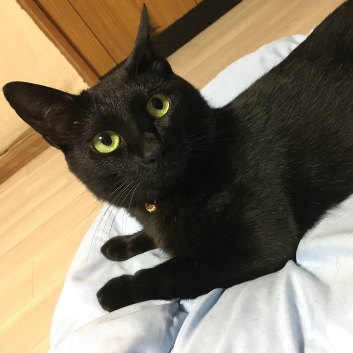 67d099bd 823c 4e86 8322 eabd88c2eb4b