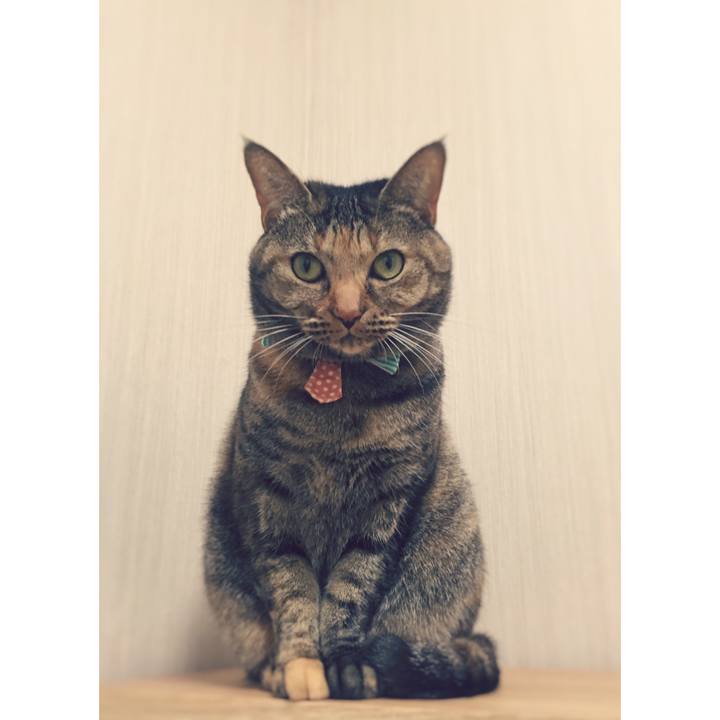 67d09b76 db41 443b 9d9d d77de0c091b2