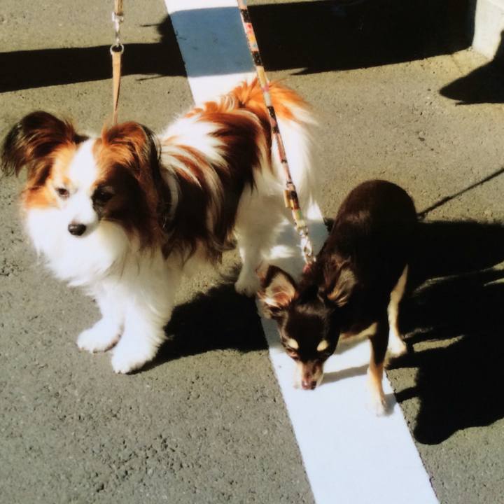 67d0af35 e590 4766 a109 d3db1af01799