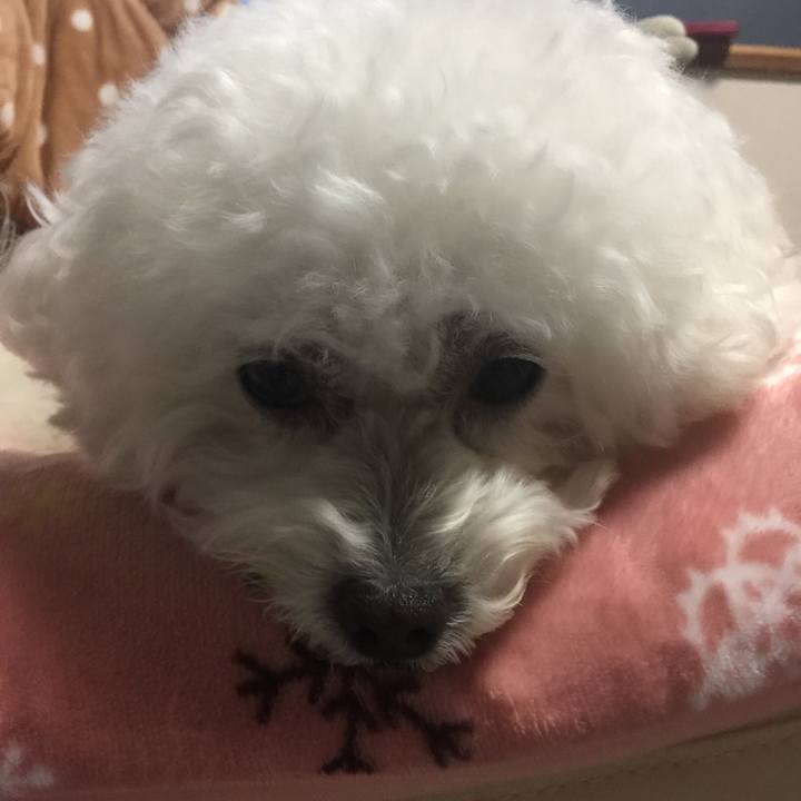 67d13f8c 05fa 471a 910f 28c5602a4567