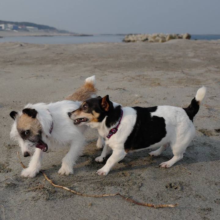 67d1a991 97f6 4703 8ae7 84bcd6496946