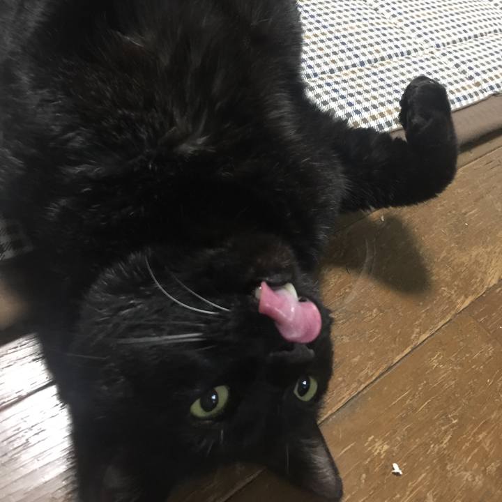 67d1d242 bb44 4482 9092 6bdb7f25dcf1