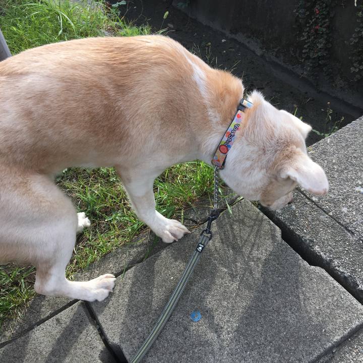 67d29399 e6ca 47e1 9eb5 be57a9a18676