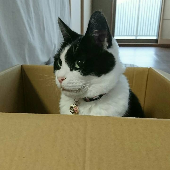 67d2988c c439 469f b78a 3e5017dafd0d