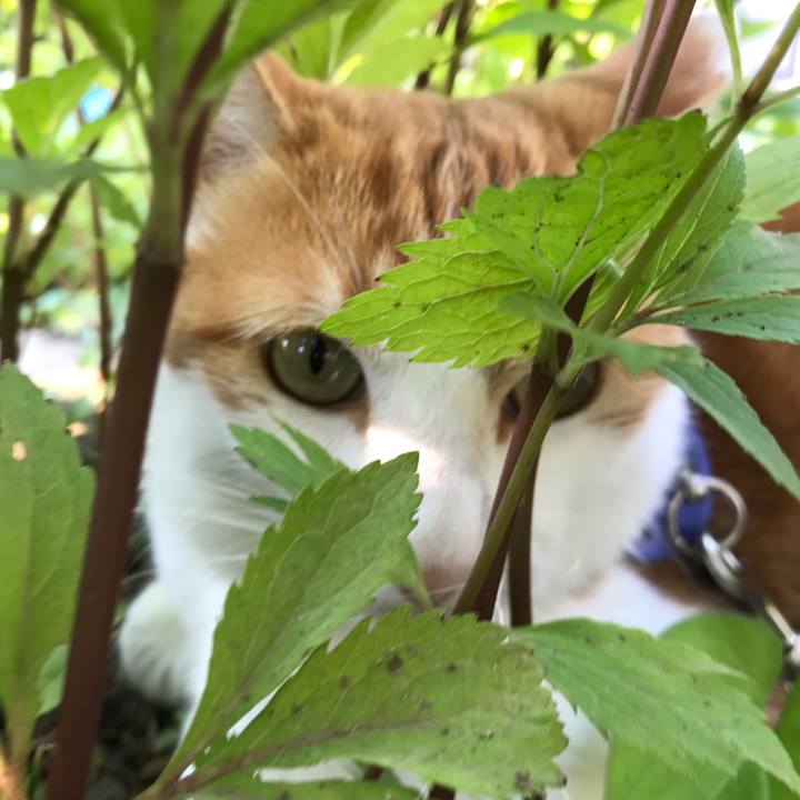 67d29f24 a946 44ba 968a e4c5894e33c8