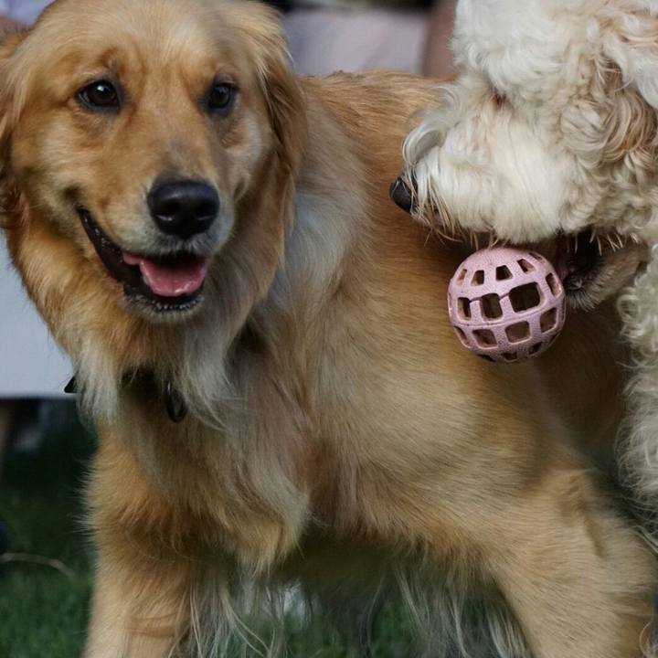 67d2b5eb 452f 4c12 baf6 18742a1b092d