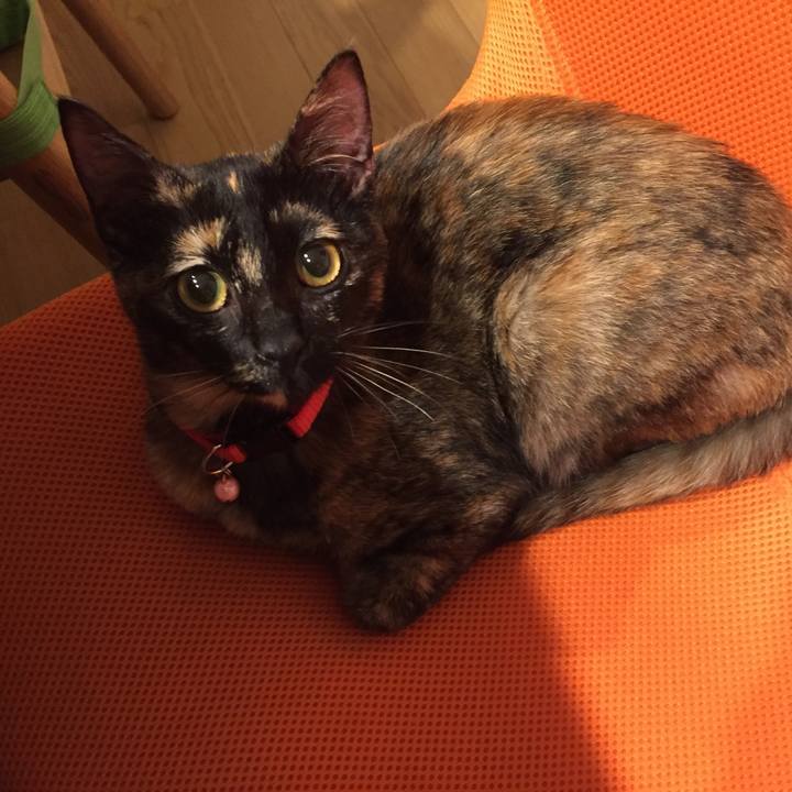 67d2b90e e3cd 488c aefd c8f43dbf0b2f