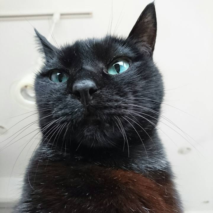 67d325a1 0f8b 4222 80aa c2ddea4c2722