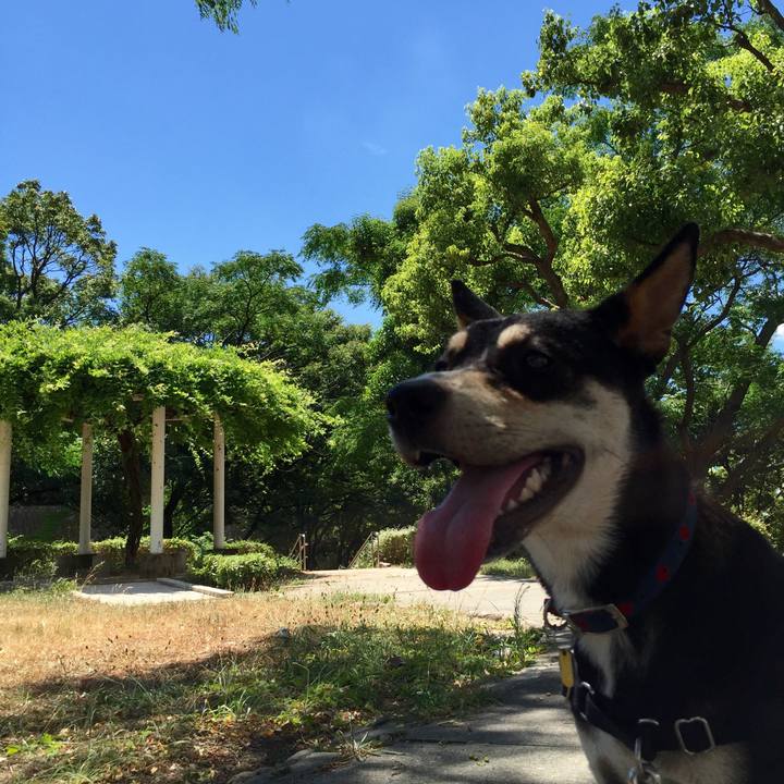 67d39354 618e 4392 a337 028a3e733b88