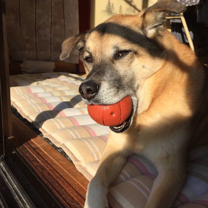 67d3cd87 348a 4544 bfe2 80c23562582d