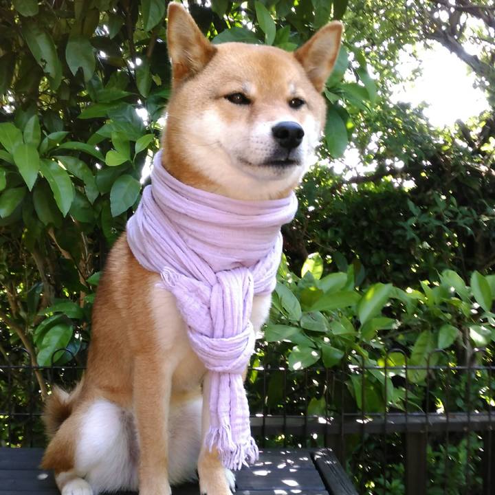 67d412d9 fe8c 4cba 8753 394dfbcc6cc9