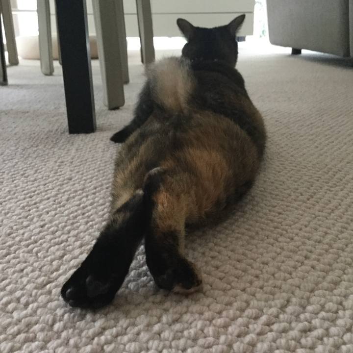 67d4327f 346f 428d bc1d 3d7f058e2610