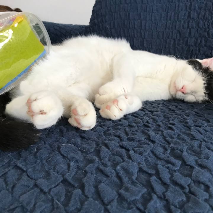 67d44d04 84b6 4856 a342 12a36b9e7264