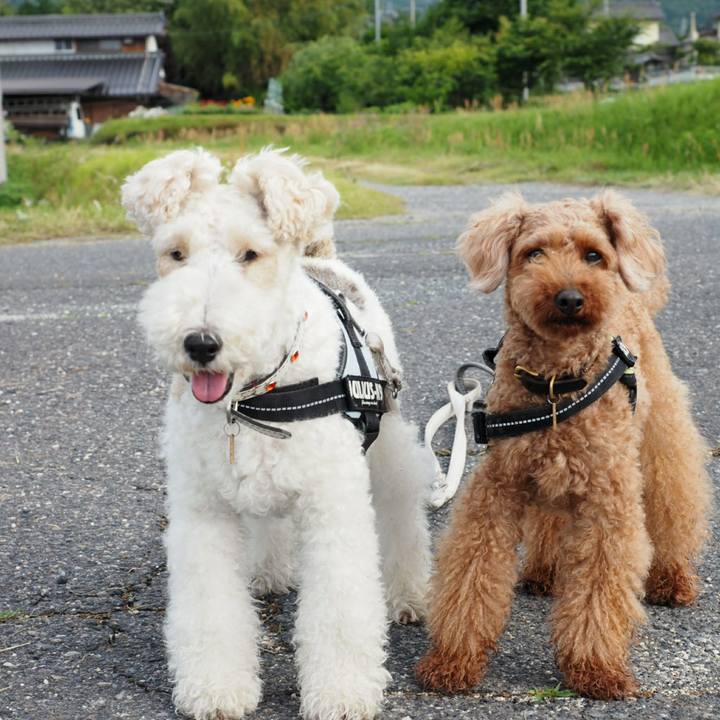 67d46f7f 7152 47b3 947d aa9ee277dc44