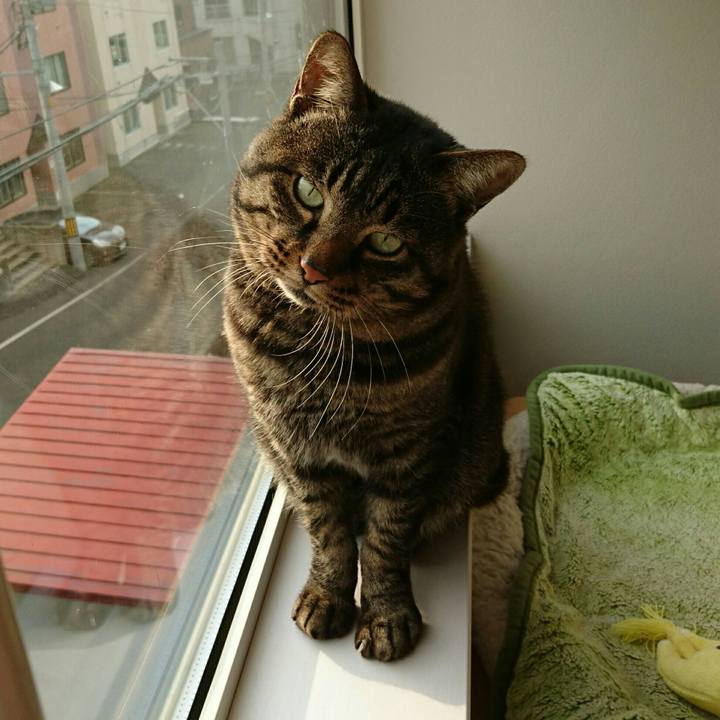 67d48125 ef8d 428b 86db 27709e176e99