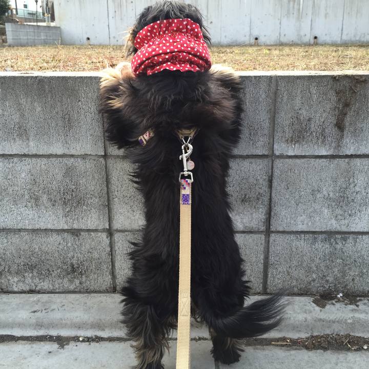 67d4f628 9709 4232 b5cd 704389a506a2