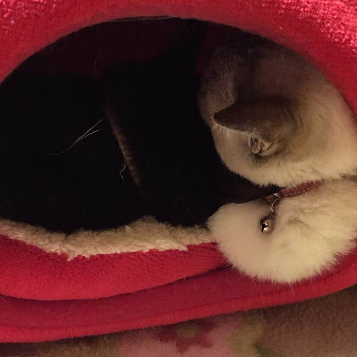 67d54e21 9b43 4965 a2f1 ad6dd1299e4f