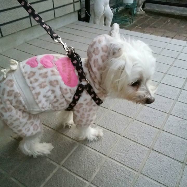 67d610cc 6243 4037 b9fb bec436035dcf