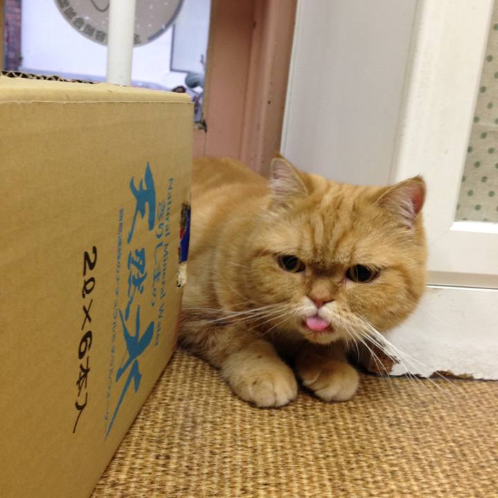 67d6f5d2 feab 4d4b a867 b81b726a34c7