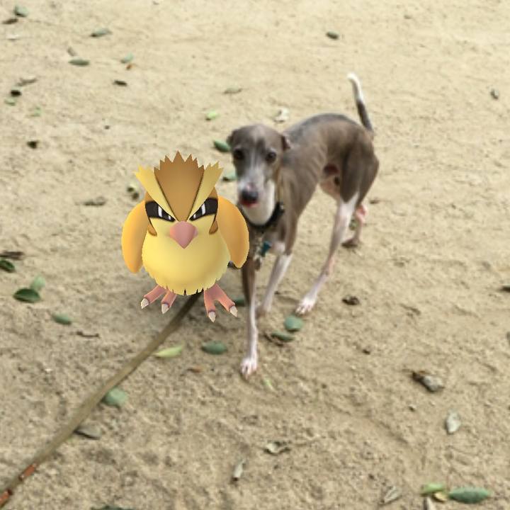 67d7ba07 14e4 4cf9 aa41 081211b8e03e