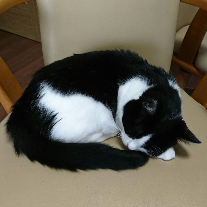 67d83e61 e7fe 4213 befc 096f394e332c