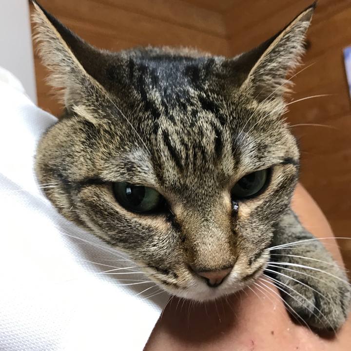 67d84a75 17f6 4791 b580 669572f43d16