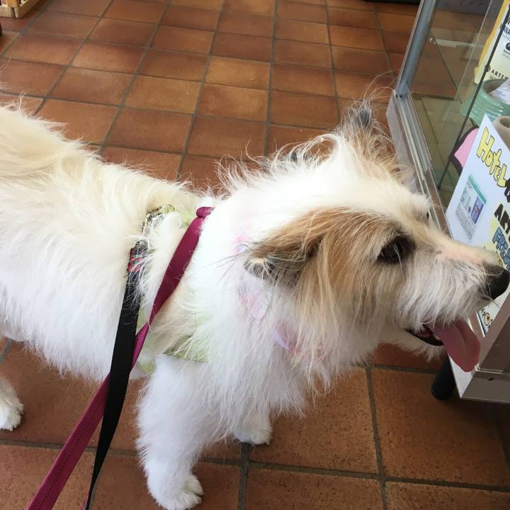 67d8cfaf 204c 4f9a 947d 0e46bc24dfab