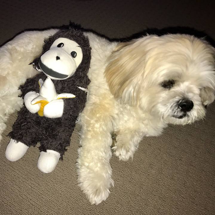 67d8eee3 c8f0 42b2 a775 1d7a39417105