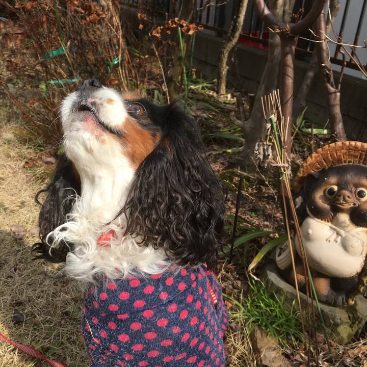 67d906a8 db89 43db 8618 30828dead93a