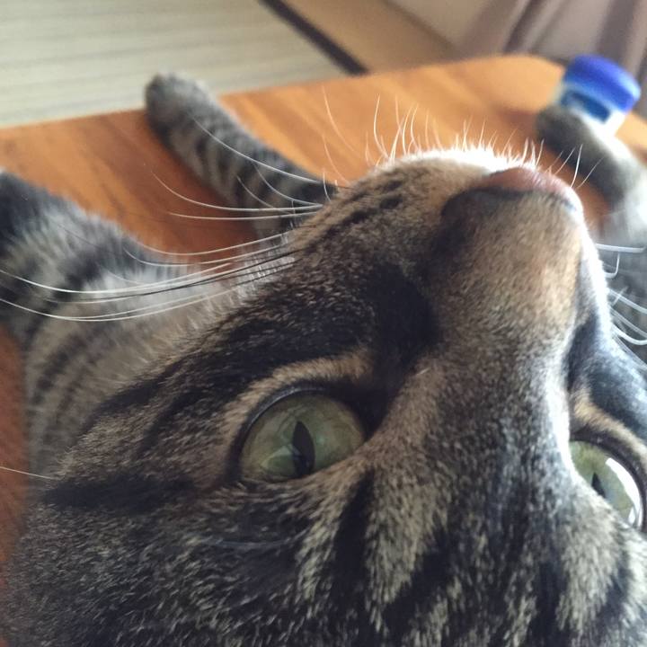 67d916a2 d04c 4e1d ab0e 1bab9f0cbee5