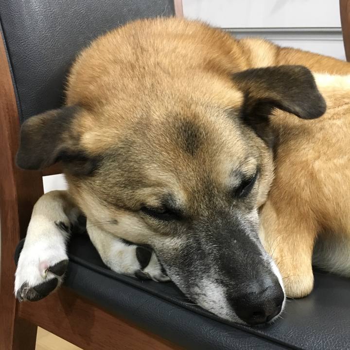 67d96046 0020 4dcf 9569 57340e01d5f3