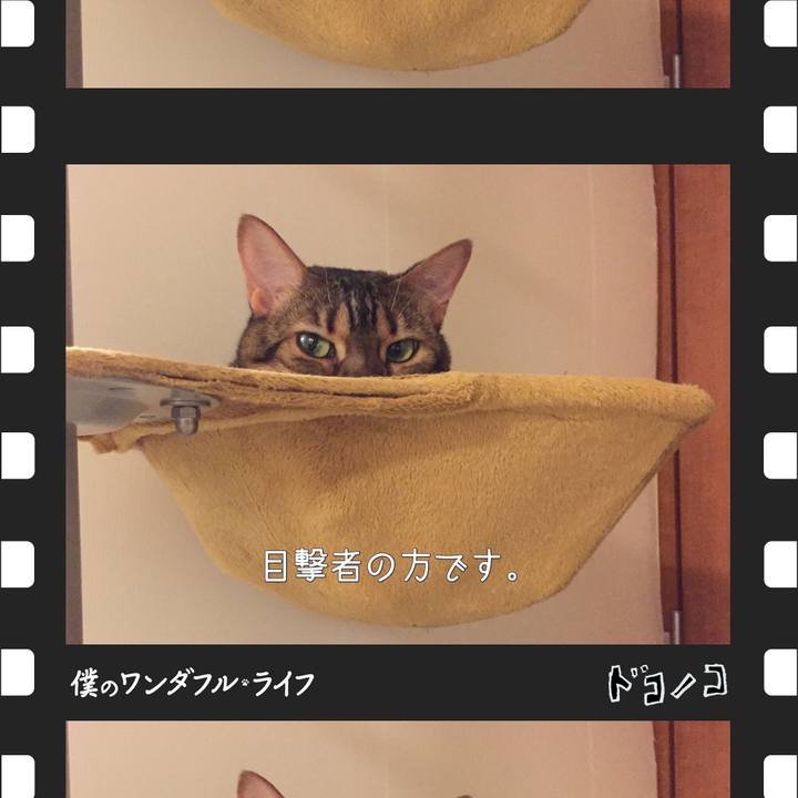 67d975a1 d727 46a4 8d15 5b6aac0dbf59