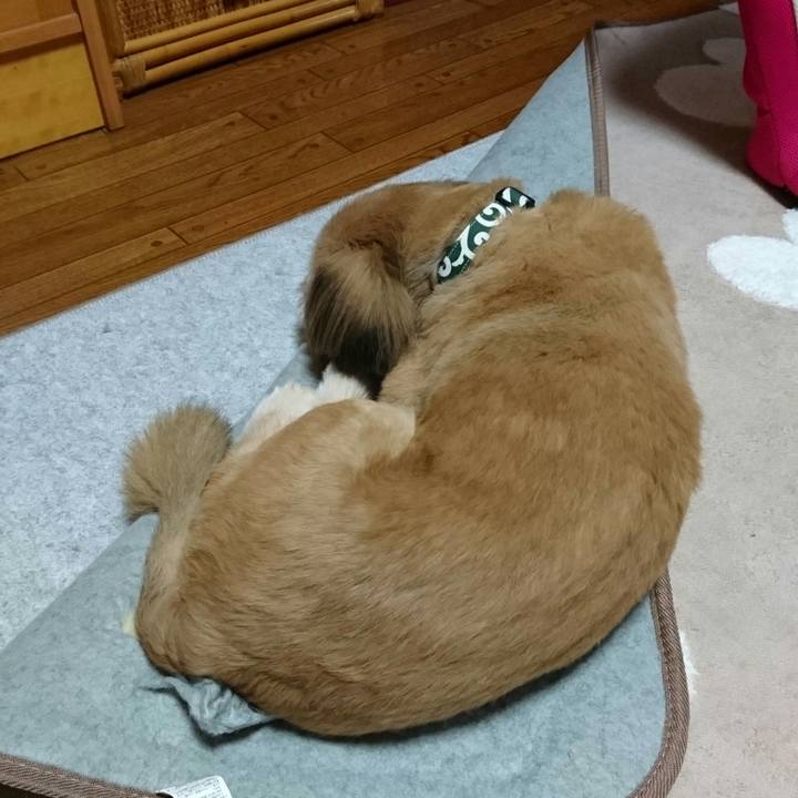 67d9c003 df44 4a9c b7a9 8fd268a5ed96