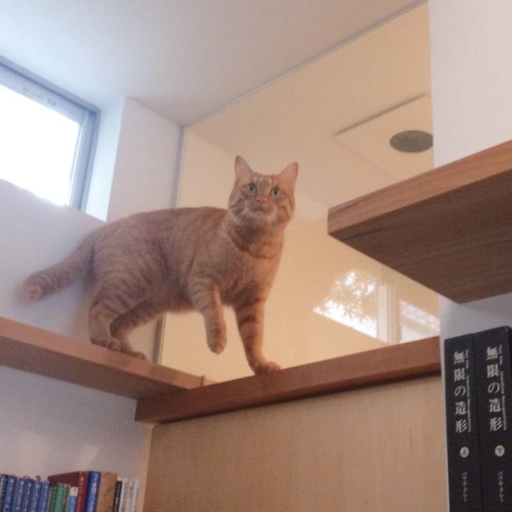 67d9e0a2 6009 4916 a969 1f7889c52ce9