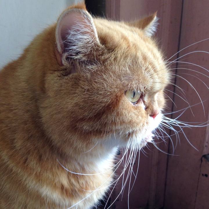 67d9fd08 88eb 4725 ac24 0ad146ba22a2