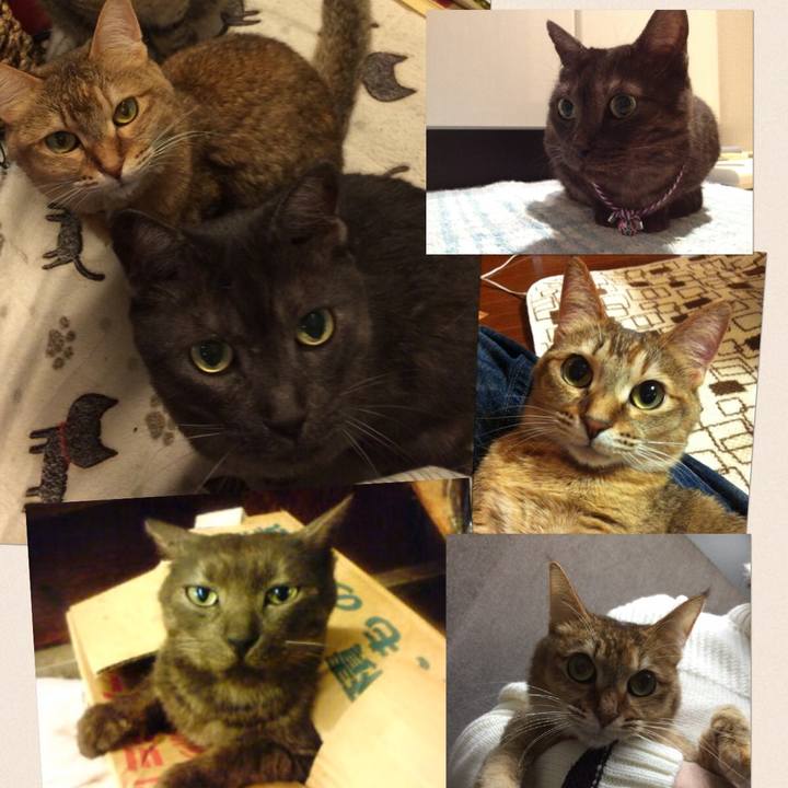 67d9ffc4 6ee9 43f9 a192 b29d8acc17f9