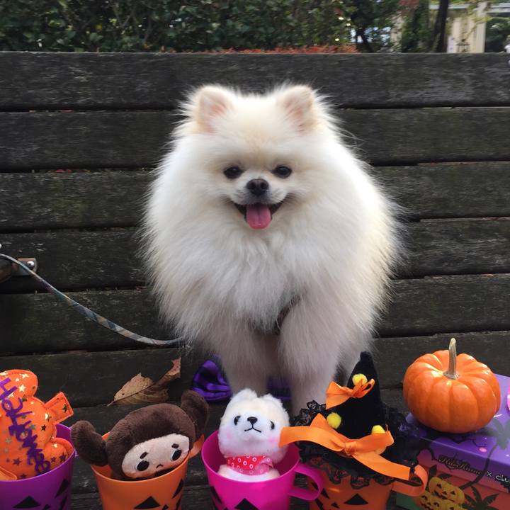 67da41a7 cfb2 4f66 b236 314ef8a467ff