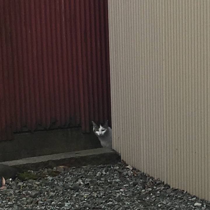 67da5166 94da 464f 8fd0 76c36432c23f