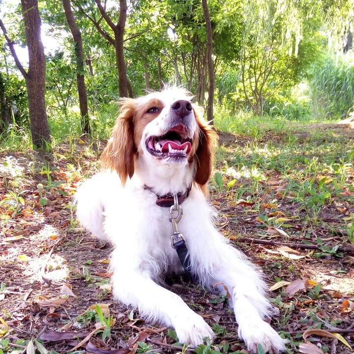 67dad365 129b 4c64 98c9 7c7da34da701