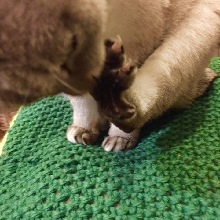 67db232b bba0 40b2 b23a 2be7e6d39915