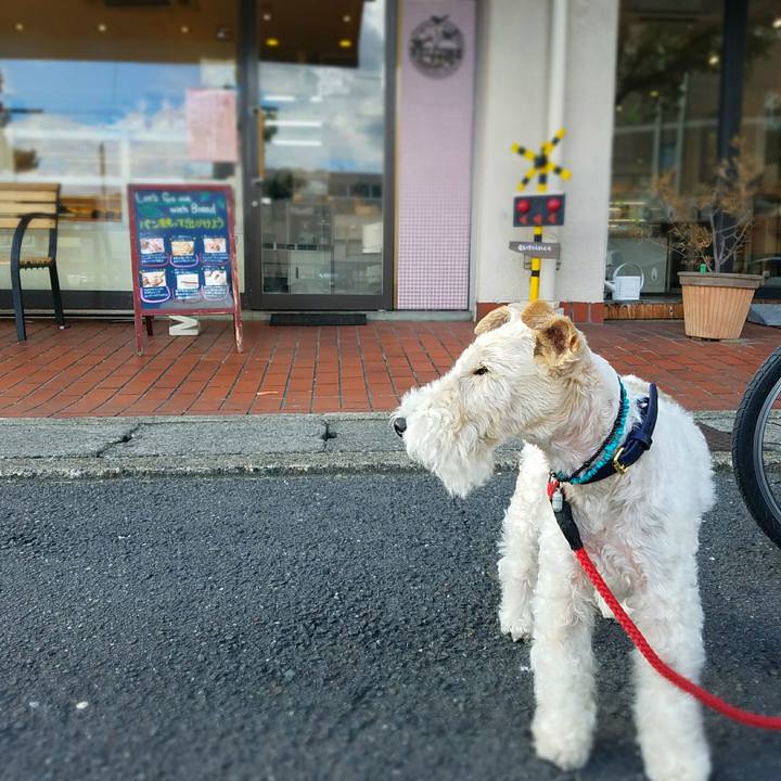 67db3896 25fc 44f9 8d6a 2f2813727e42