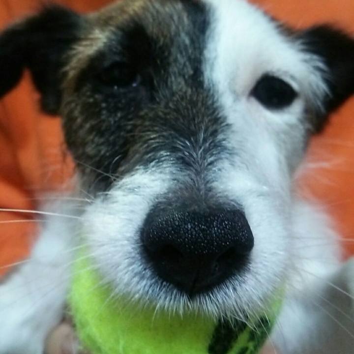 67dc74a4 a3f8 4f94 b740 a36cc3f317d6