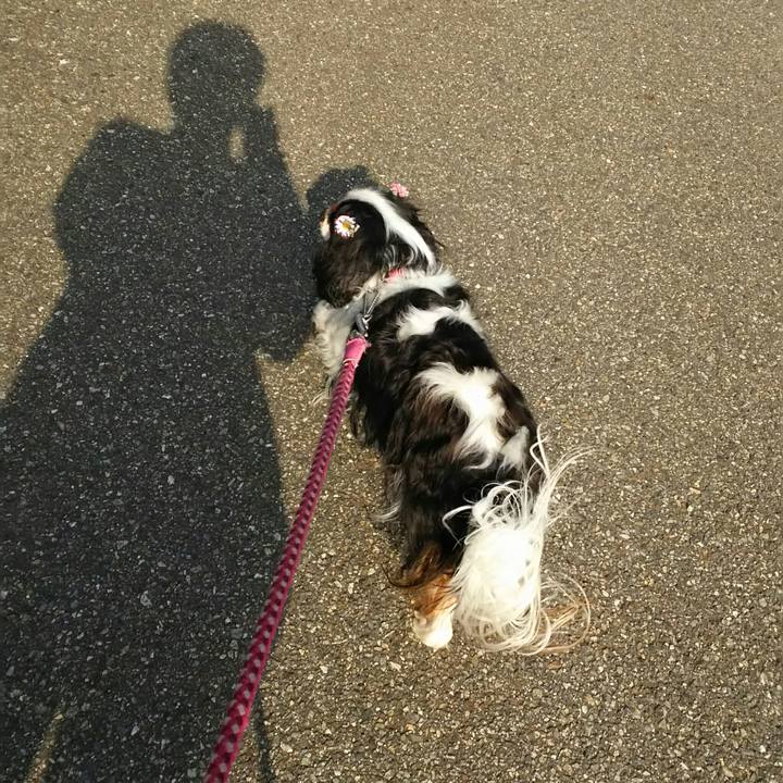 67dcb75b 001f 4ed2 b60a cb16f10e1a33