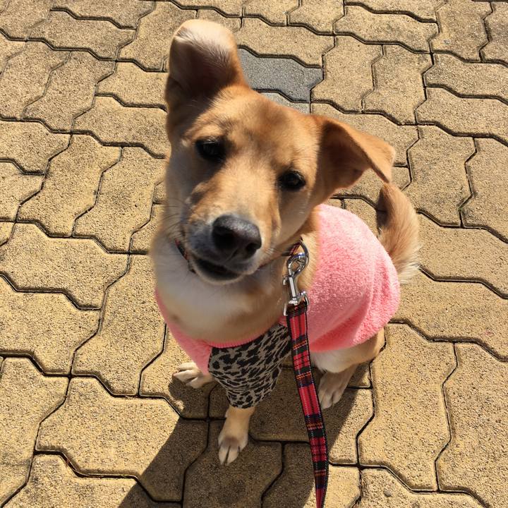 67dd7eca 4c4e 45f8 bbbe fcad67bec803