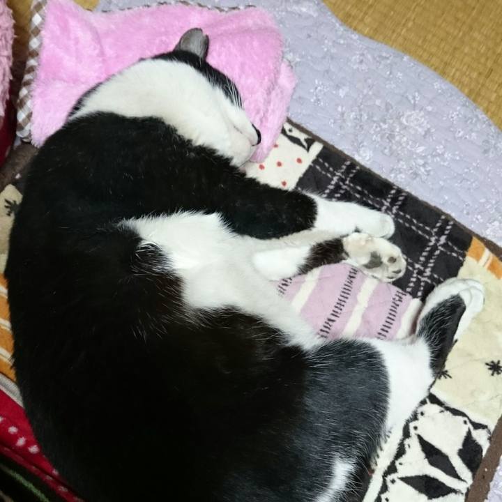 67de8e82 63e6 4344 a7ed 41528d10328c