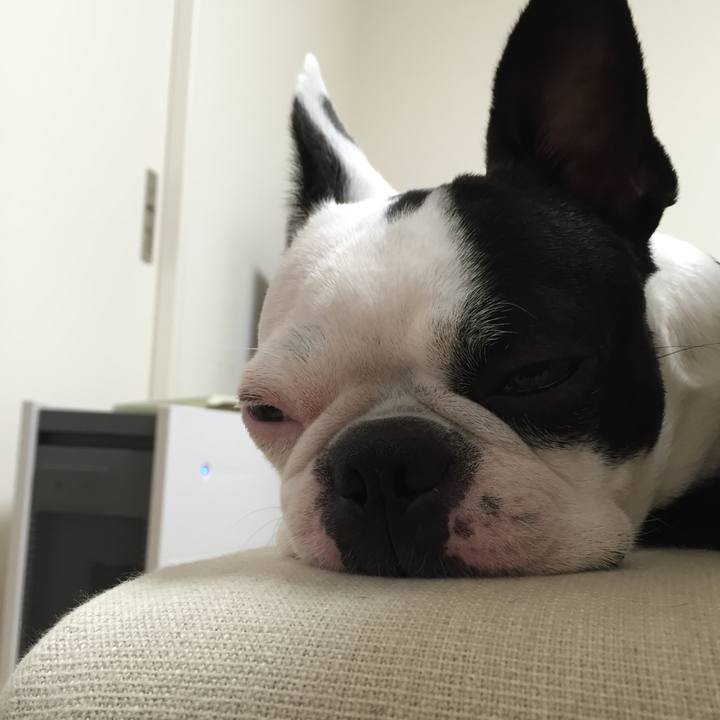 67deda16 ede5 483c bec0 539e178125a8