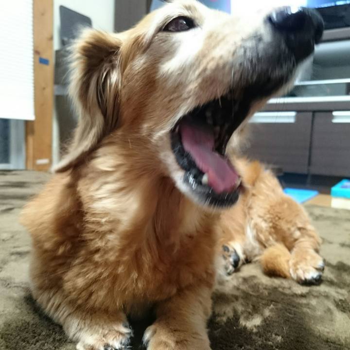 67df66ce 72d1 4b1b b599 64a9caf8fee6