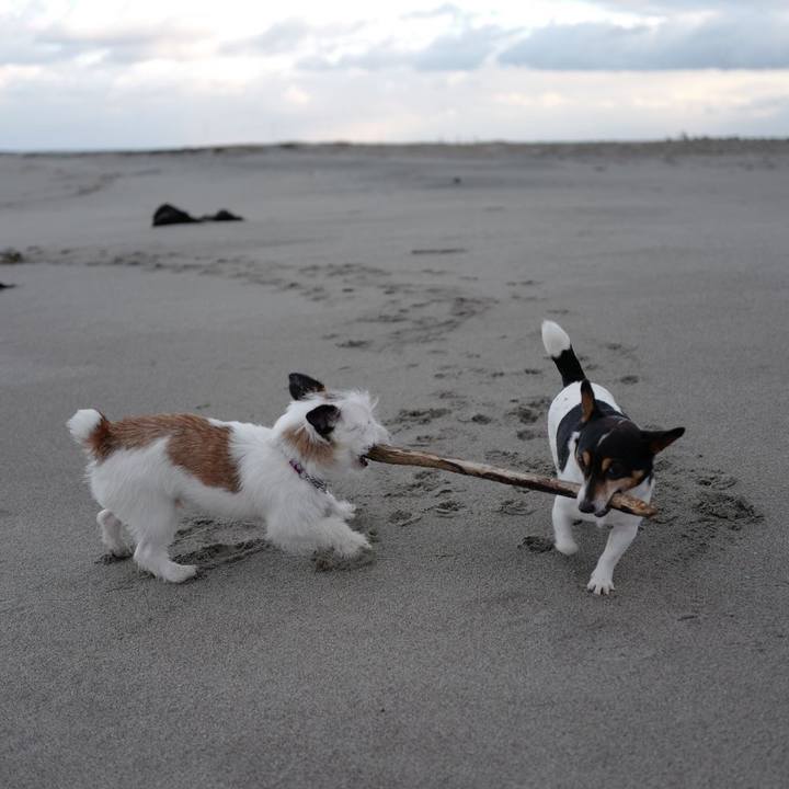 67e02c59 a888 4dcc abf6 49e820a1f865